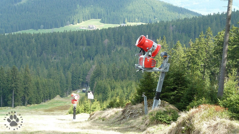 Żmijowa Polana