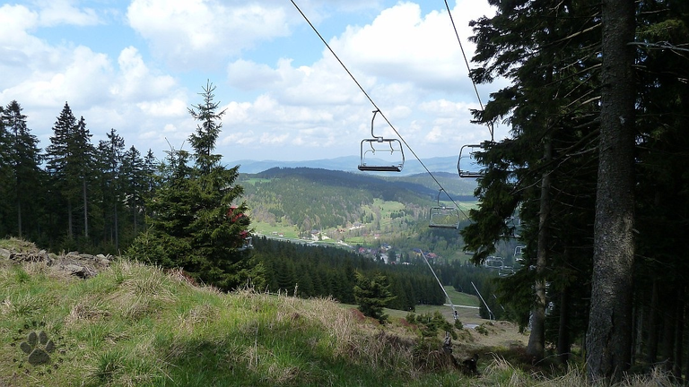 Żmijowa Polana