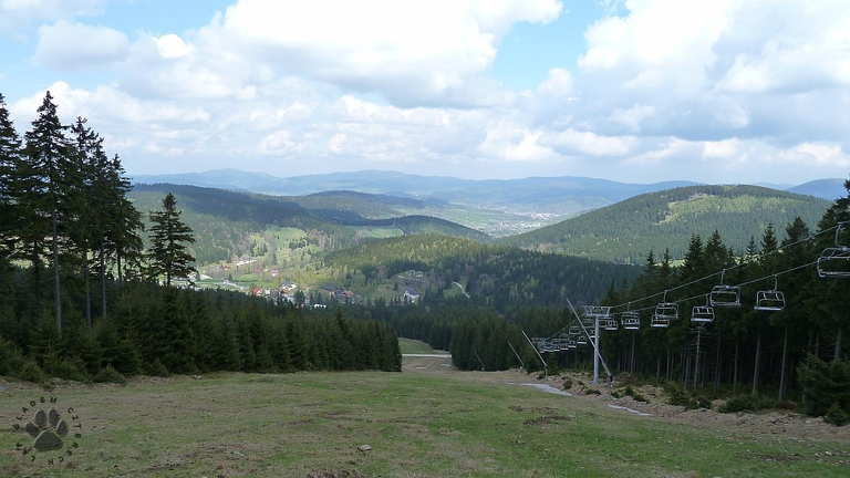 Żmijowa Polana