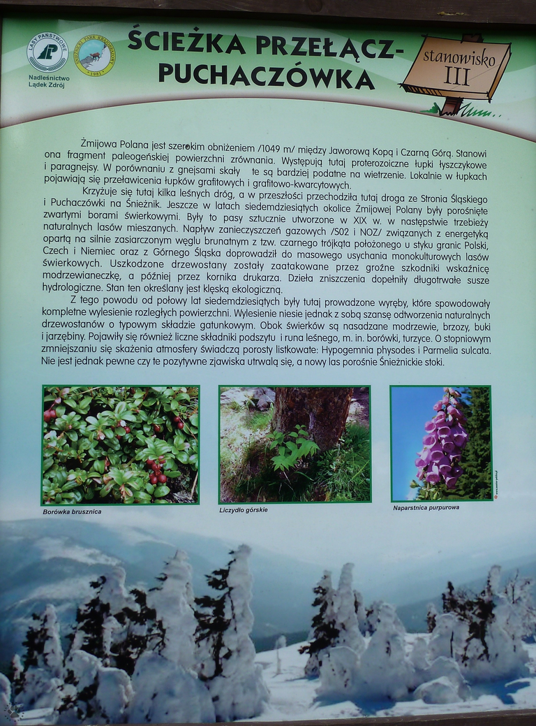 Żmijowa Polana